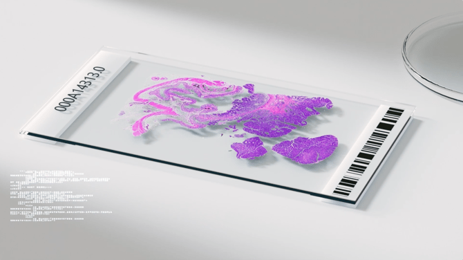 Histology slide CGI video 1500x800